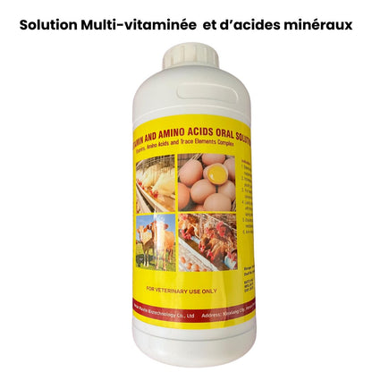 Supplément de Vitamines et Minéraux